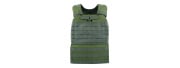 Lancer Tactical Tactical Molle Outdoor Combat Vest (OD Green)