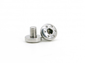 AIP CNC Stainless Steel Grip Screws For Hi-capa Type 2 (Silver)