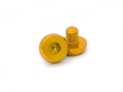 AIP 7075 Aluminum Grip Screws For TM 4.3/5.1 (Gold)