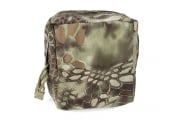 TMC Nylon Square MOLLE Canteen Pouch (MAD)