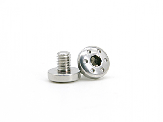 AIP CNC Stainless Steel Grip Screws For Hi-capa Type 2 ( Silver )