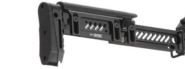 LCT ZKS-74UN Airsoft AEG Rifle w/ Z Series Furniture and GATE Aster