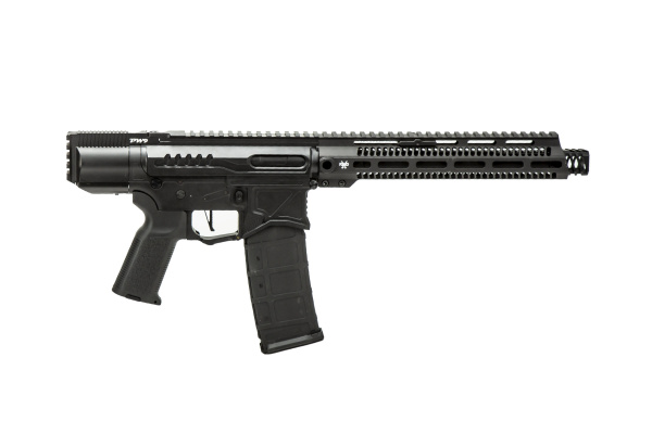 Zion Arms R15 MOD 0 Full Metal AEG Airsoft Rifle