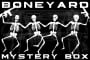 2024 Boneyard Mystery Box w/ 1 Guaranteed AEG (daily shocker)